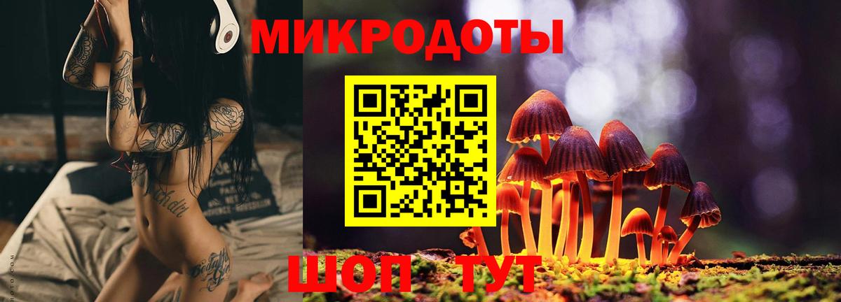 Галлюциногенные грибы Psilocybine cubensis  Вход с VPN  Лангепас 